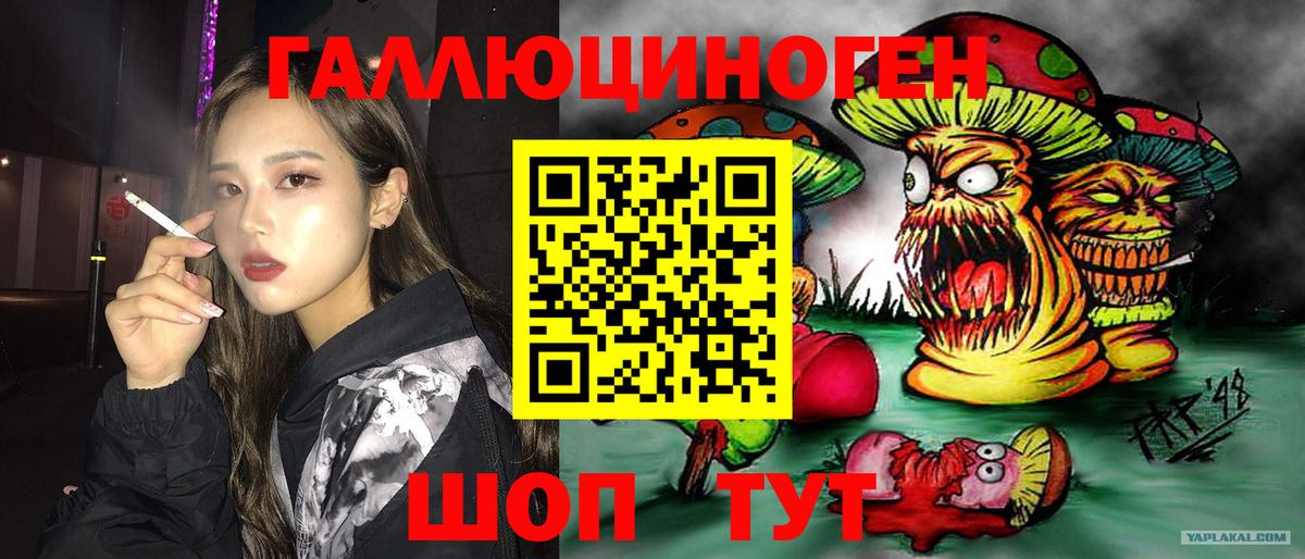 Псилоцибиновые грибы прущие грибы Белово