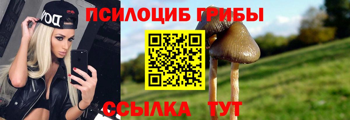 Галлюциногенные грибы мухоморы  Вход с VPN  Белово 